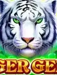 Tiger Gems